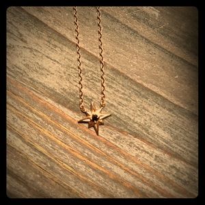 North Star necklace with black diamond in 14K gold